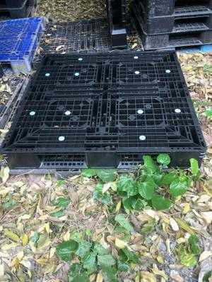Pallet nhựa mới tại Hà Nội PL02-HG
