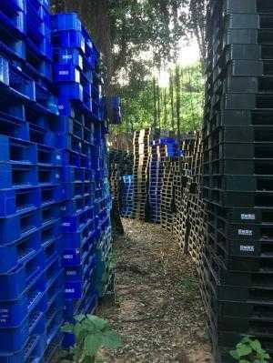 Pallet nhựa mới - Kích thước 1350 x 1180 x 150mm