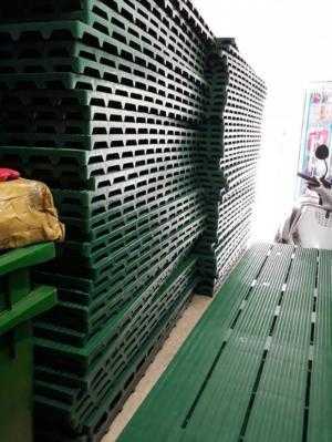 Pallet nhựa cũ giá rẻ tại Thái Bình