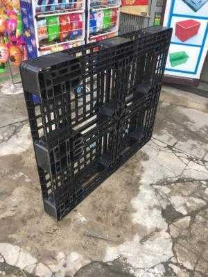 Pallet nhựa cũ giá rẻ tại Thái Bình