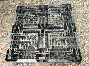 Pallet nhựa cũ Hà Nội - Pallet nhựa Nhật