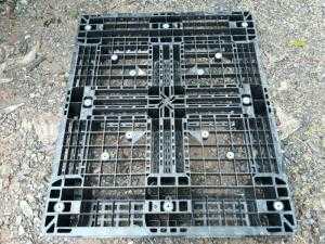 Pallet nhựa cũ Hải Phòng