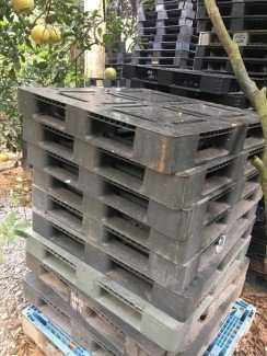 Giá pallet nhựa mới - Đa dạng đủ mọi loại kích thước