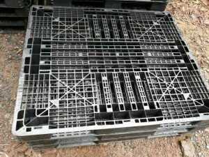 Chuyên pallet nhựa cũ giá rẻ, giá sỉ tại Hà Nội