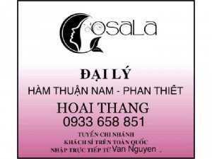 Viên tinh bột nghệ osala