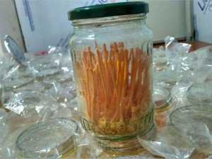 Đông trùng hạ thảo Việt Nam