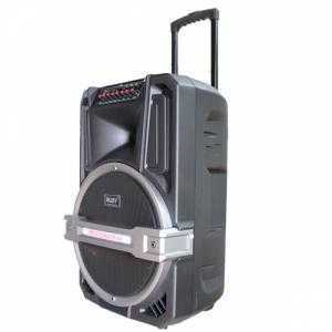 Cho thuê loa kẹo kéo công suất lớn 1000W