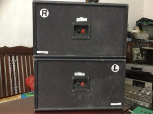 Loa nghe nhạc & karaoke BMB CS-350V