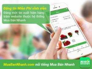 Làm thế nào để sản phẩm của bạn được khách hàng biết đến nhanh nhất?