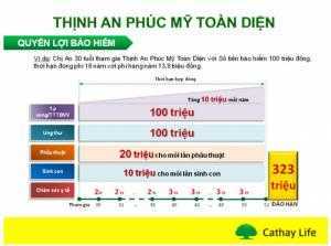 Bảo hiểm Phụ nữ Thịnh An Phúc Mỹ Toàn Diện C19, bảo hiểm Cathay Life Việt Nam