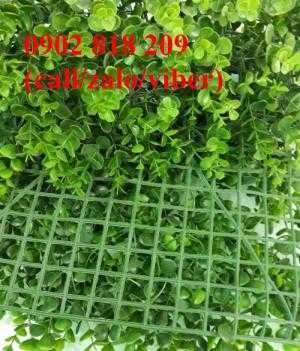 Cỏ nhân tạo dán tường, cỏ trang trí tường