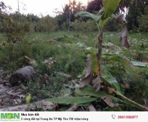 3,1 công đất tại Trung An TP Mỹ Tho