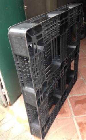 Pallet nhựa cũ tại Hòa Bình, miễn phí vận chuyển số lượng. Liên hệ: 0906193788 (24/24 - Phòng Kinh Doanh)
