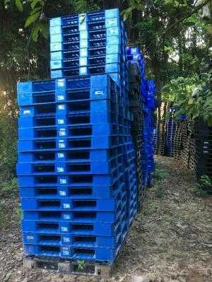 Pallet nhựa cũ tại Hải Dương, miễn phí vận chuyển số lượng lớn - Liên hệ: 0906193788 (24/24 - Phòng Kinh Doanh)