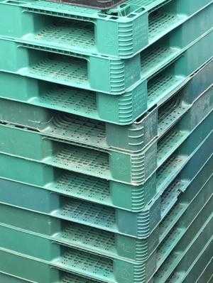 Pallet nhựa cũ tại Quảng Ninh