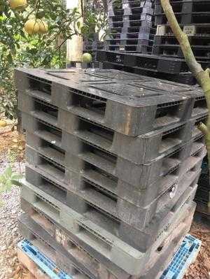Pallet nhựa cũ Thái Nguyên