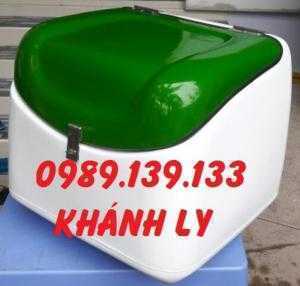 Thùng giao hàng nhanh, thùng giữ nhiệt, thùng chở hàng sau xe máy giá rẻ