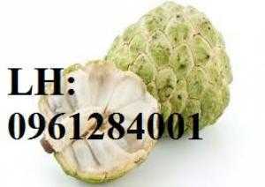 Cung cấp cây giống nhập khẩu, cây giống na bở Đài Loan. Địa chỉ cung cấp cây giống toàn quốc