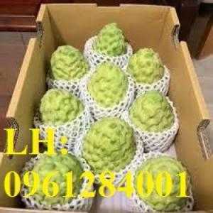 Cung cấp cây giống nhập khẩu, cây giống na bở Đài Loan. Địa chỉ cung cấp cây giống toàn quốc