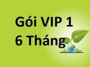 Liên Hệ : CSKH Bùi Tình - 0902 889 365
Chatnhanh : 0902889365