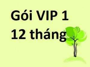 Báo Giá Mua Bán Nhanh Gói VIP 1- 12 tháng