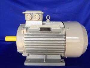 Động Cơ Motor Điện Nhập Khẩu