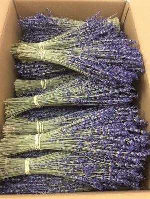 Hoa lavender khô 500g