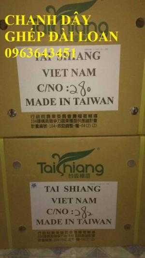 Bán cây giống chanh dây, giống chanh leo, chanh dây Đài Loan, chanh dây ghép chuẩn, hỗ trợ đầu ra