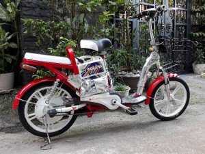 Xe đạp điện yamaha xài 2 phuộc nhún sau