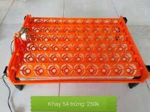 Máy ấp trứng gà P100, 2 khay đảo,đèn soi