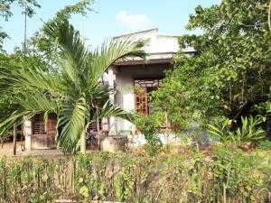 Bán nhà cấp 4, vuồn rộng