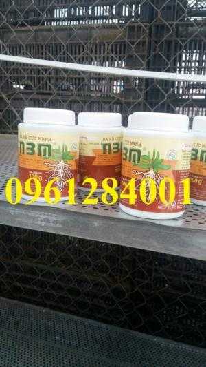 N3M - Thuốc kích thích ra rễ cực mạnh