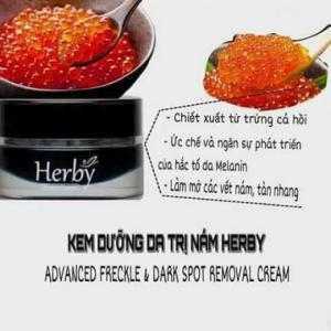 Kem Cao Cấp Trị Nám Herby