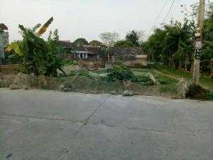 Bán gấp mảnh đất Xã Yên Thắng, huyện Yên Mô, Ninh Bình giá cực rẻ