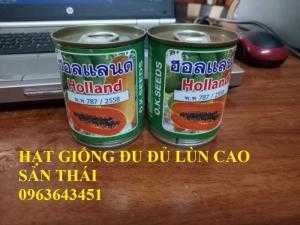 Cung cấp cây giống, hạt giống đu đủ lùn cao sản Thái Lan, đu đủ lùn siêu lùn siêu quả, đu đủ lùn Thái ruột vàng