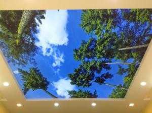 Đối với loạt sản phẩm này quý khách hàng có thể lựa chọn được bất kỳ kích thước, mẫu hình ảnh nào để áp dụng thi công
