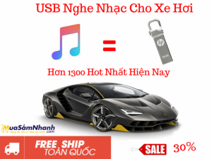 USB Nghe Nhạc Cho Xe Hơi Tổng Hợp 1300 Bài Hát Tuyển Chọn 16G - MSN388329