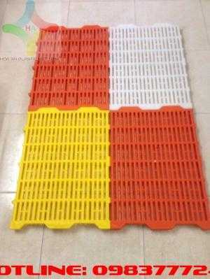 Sàn nhựa chăn nuôi Heo ( Sàn Lợn ) giá rẻ toàn quốc