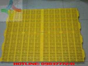 Sàn nhựa chăn nuôi Heo ( Sàn Lợn ) giá rẻ toàn quốc