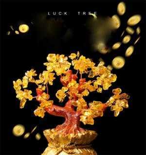 Do làm từ những loại đá quý, mang rất nhiều dương khí nên cây Tài Lộc còn giúp cho gia chủ đầu óc luôn tinh thông, sáng suốt, rất phù hợp với những công việc gắn với sự đầu tư tài chính để có thể thu vào được nhiều Tài – Lộc như ý muốn…