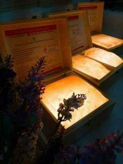 Bán đá muối Himalaya massage chân giá rẻ