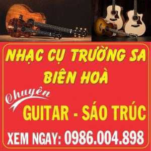 Bán ghita ở biên hòa