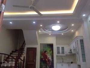 Nhà mới, thiết kế theo kiến trúc biệt thự, 5 lầu, S = 40m2, mặt tiền 4.5m