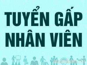 Nhân viên bán vé xem phim tại rạp làm 2h/ca và nhặt bóng tennis 3h/ca đi làm luôn (MTG)