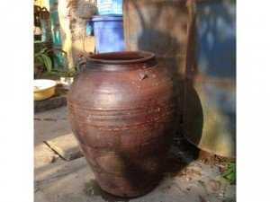 Chum xưa cũ lành đẹp