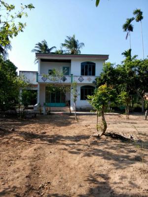 Cho thuê nhà vườn 4000m2 xã Phú Kiết-Chợ Gạo-Tiền Giang