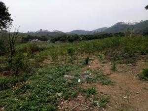 Bán Trang Trại Đồng An Đồng Tiến Bắc Giang