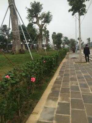 Bán Đất Nền 10tr/m2 Ven Suối Biệt Thự Phú Cát Cách ĐL Thăng Long 200m