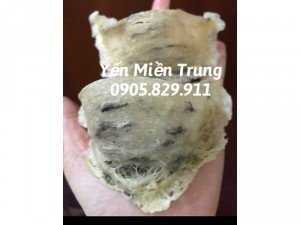 Yến Thô Quãng Ngãi