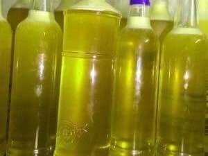 Mật ong rừng và mật ong hoa Bạc Hà